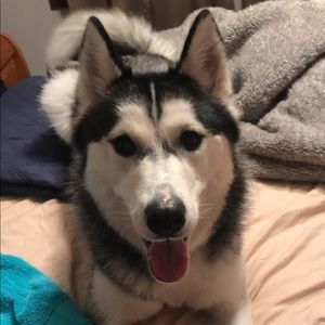 Meet your Posher, April